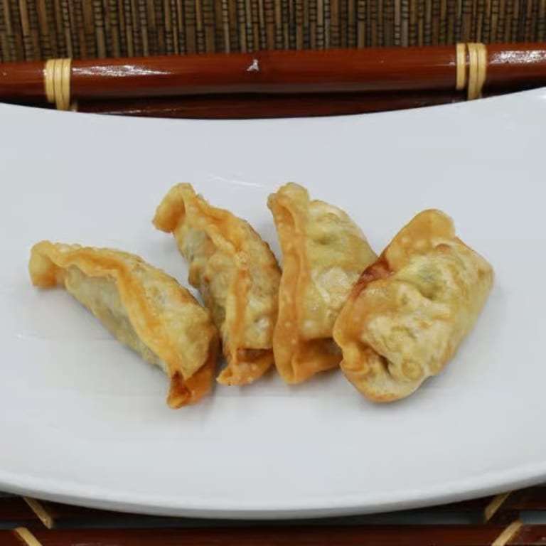 Savor Our Gyoza